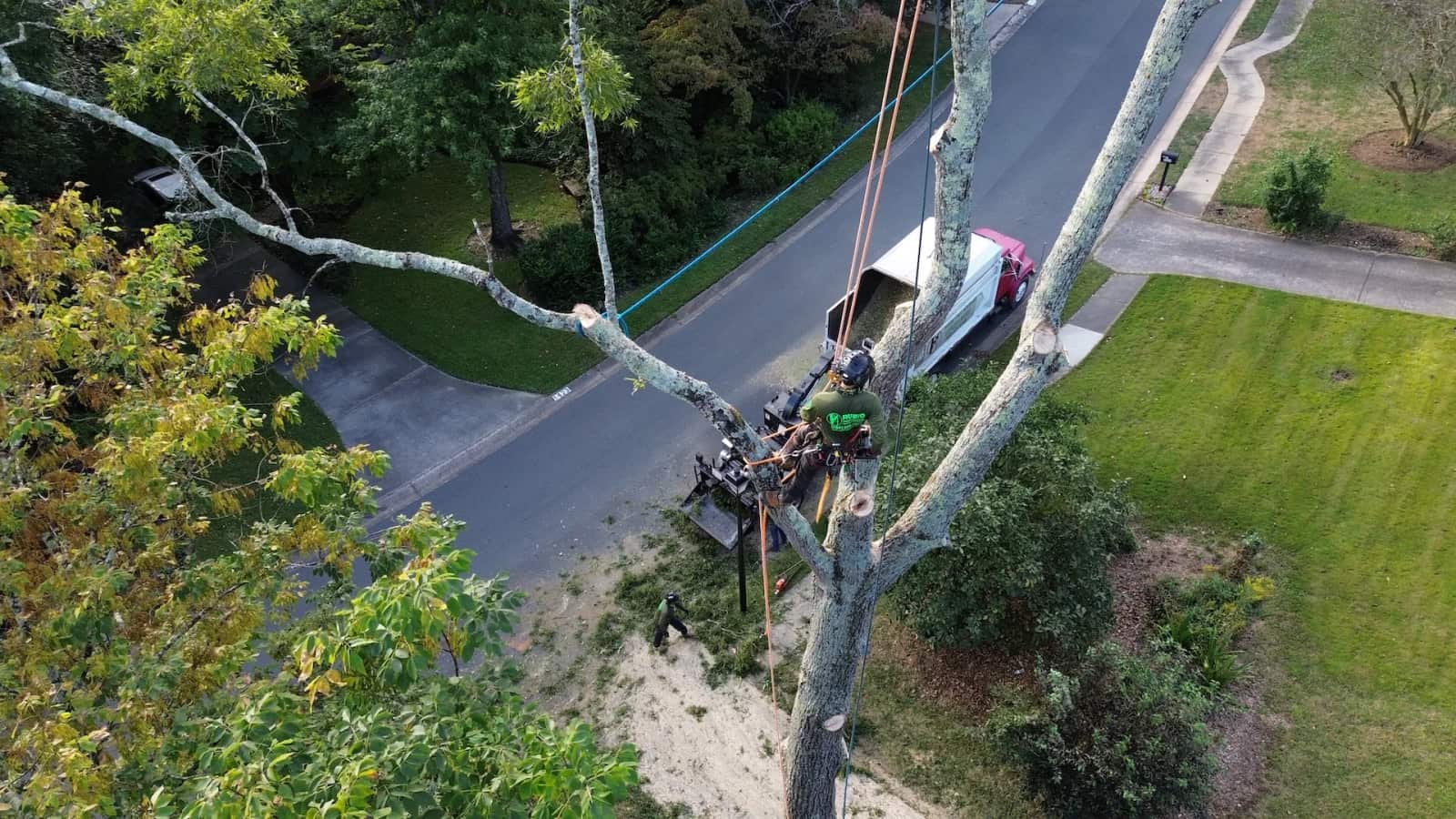 Rubio Tree Services team portrait
