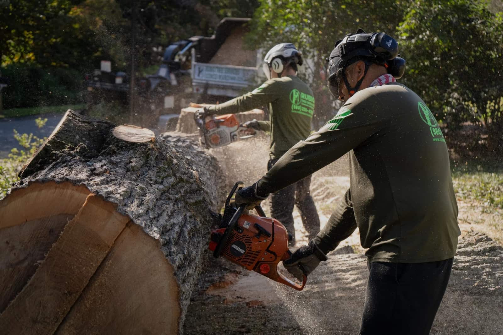 Rubio Tree Services completed tree work across Charlotte and the Carolinas