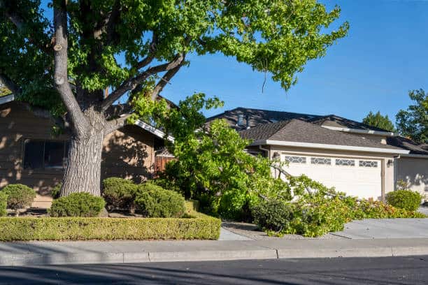 Emergency tree services — 24/7
