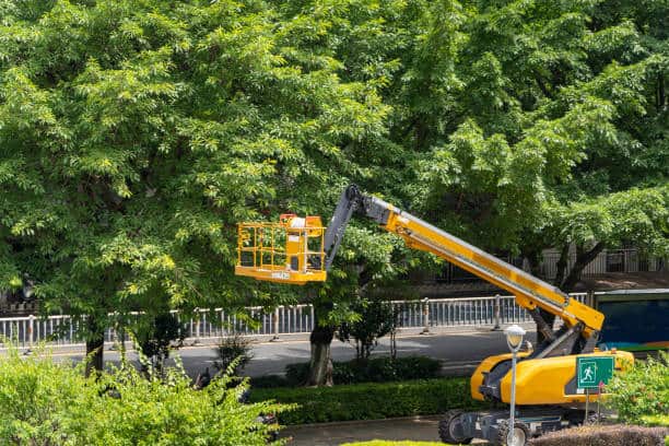 Mulching and garden bed services